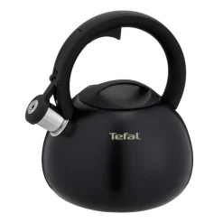 Czajnik tradycyjny TEFAL N4180410 matowy, indukcja