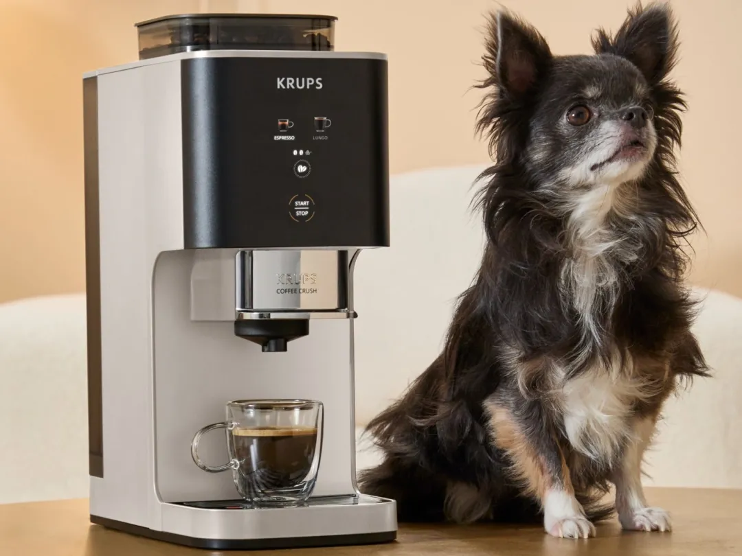 Ekspres do kawy ciśnieniowy KRUPS Coffee Crush kolbowy z młynkiem