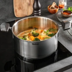 Garnek z pokrywką TEFAL Emotion+ 2,9 l 20 cm
