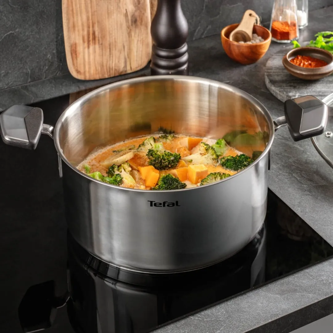 Garnek z pokrywką TEFAL Emotion+ 5,7 l 24 cm