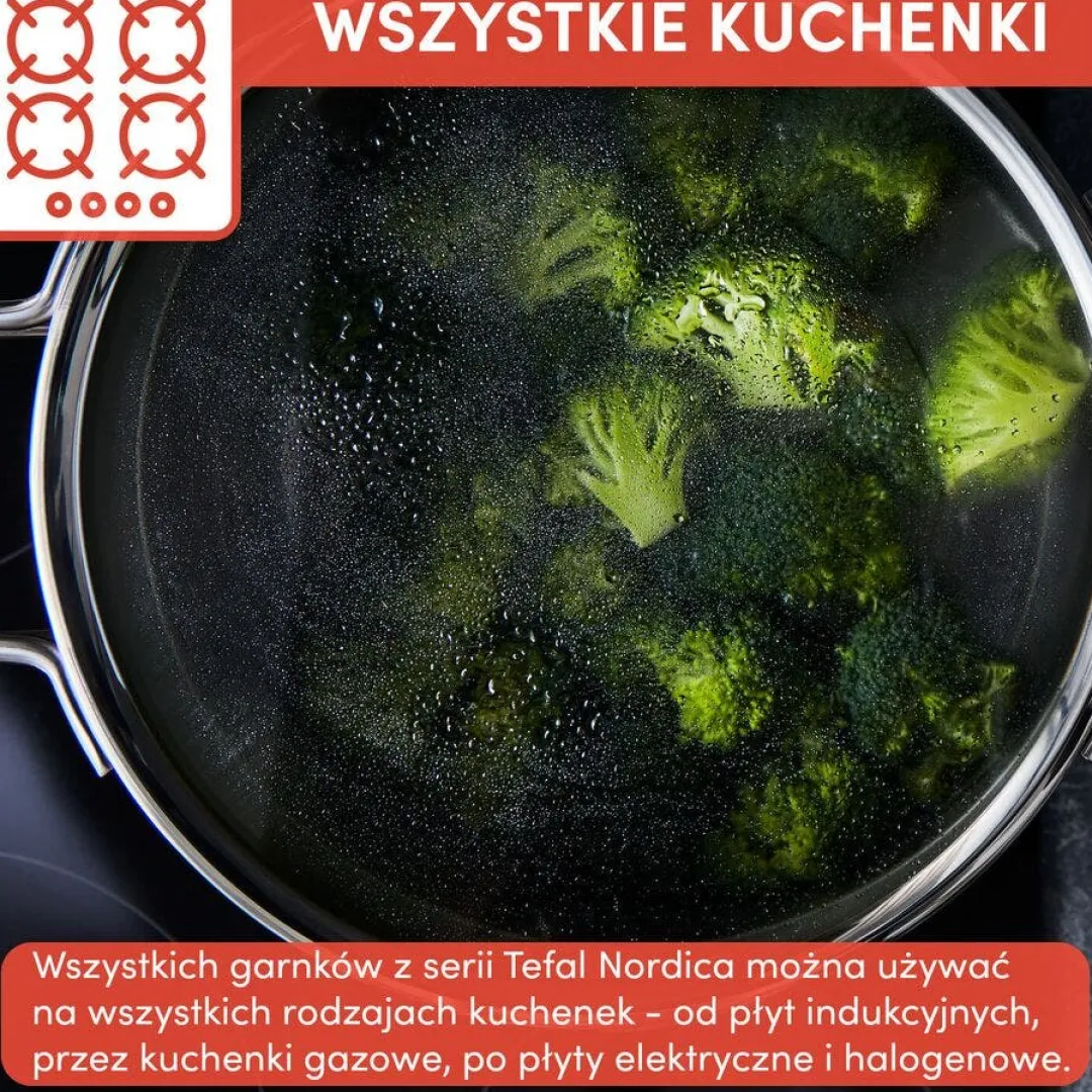 Zestaw garnków i patelni TEFAL Nordica 10 elementów