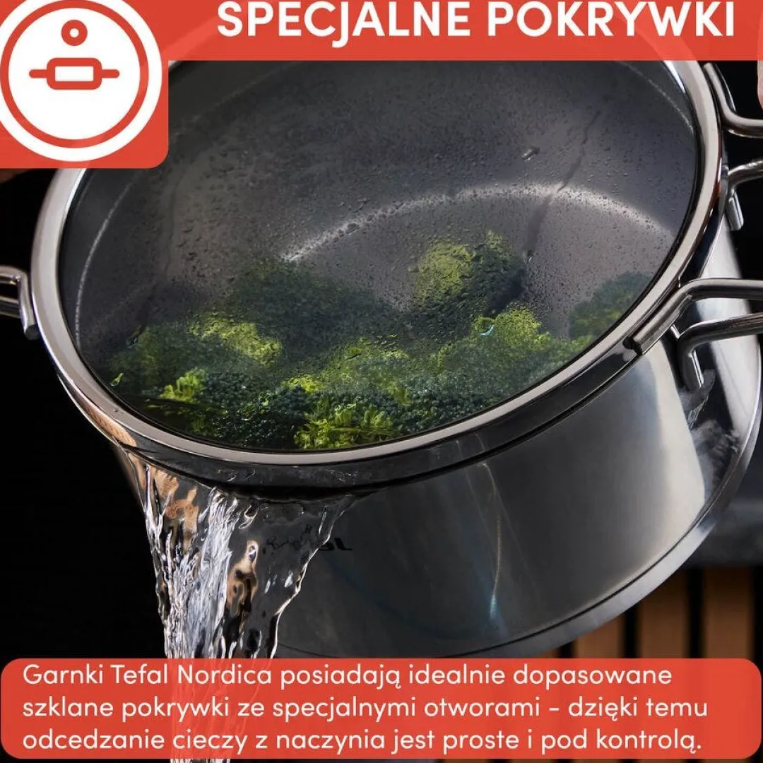 Zestaw garnków i patelni TEFAL Nordica 10 elementów