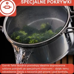 Zestaw garnków z pokrywkami TEFAL NORDICA - 8 elementów
