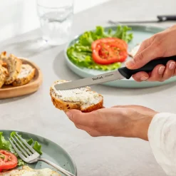 Zestaw noży ze stali nierdzewnej TEFAL COLORFOOD - 3 elementy