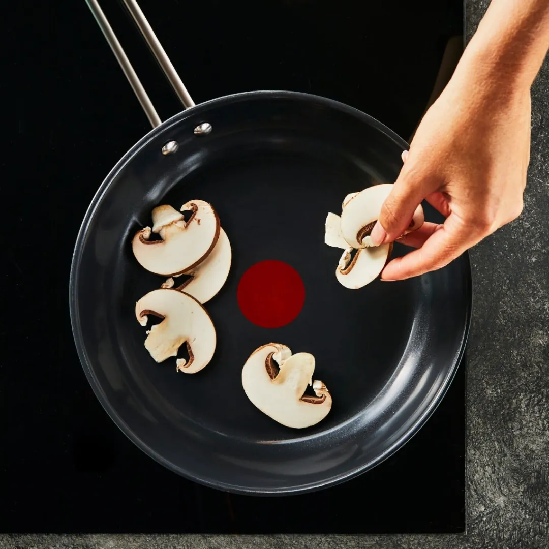 Zestaw patelni TEFAL Nordica 20/24/28/28 cm